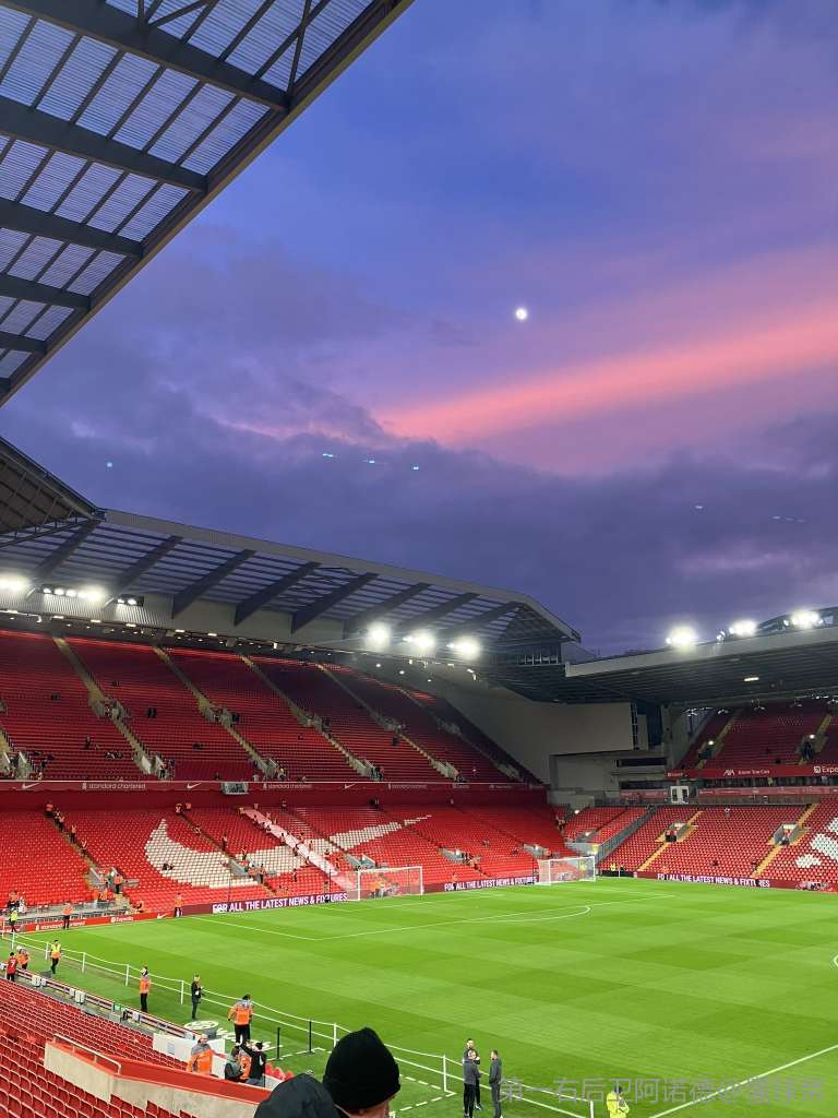 图片报评拜仁13名外租球员：帕利尼亚、努贝尔等4人大获成功（图片报盘点拜仁13名外租球员：帕利尼亚、努贝尔等4人表现出众）